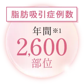 脂肪吸引症例数　年間2,600部位